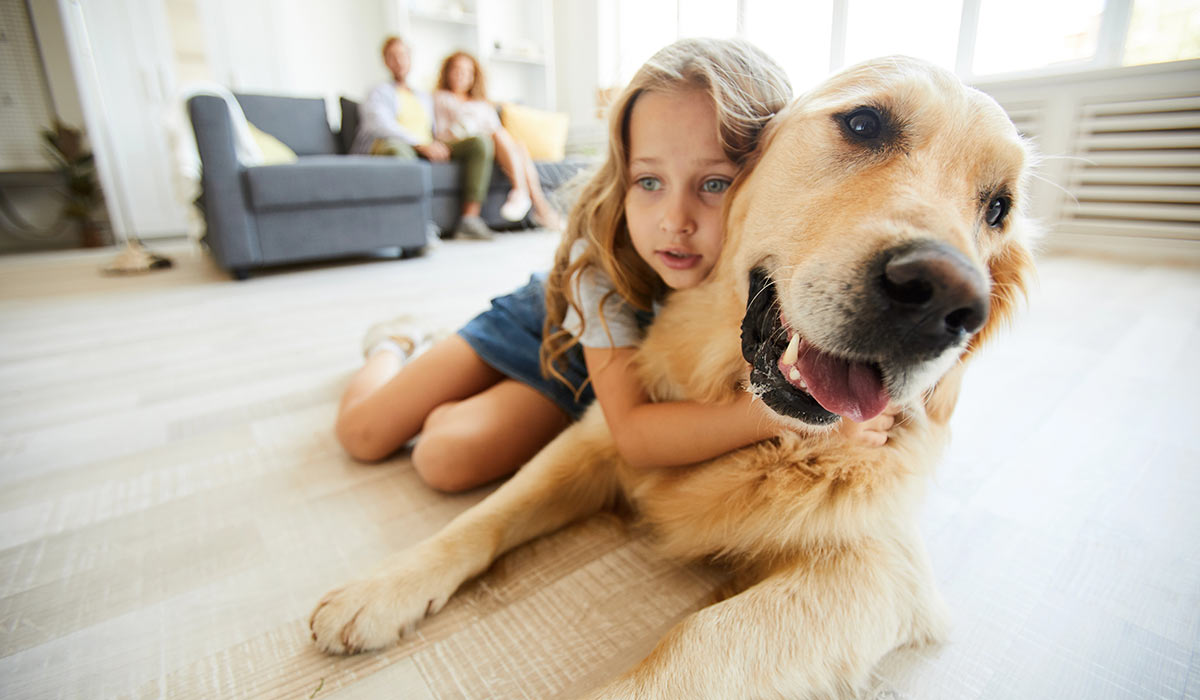 top-hardwood-floors-for-active-family-by-BK-Flooring-Services